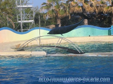 Marineland Antibes - 002