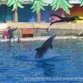 Marineland Antibes - 005