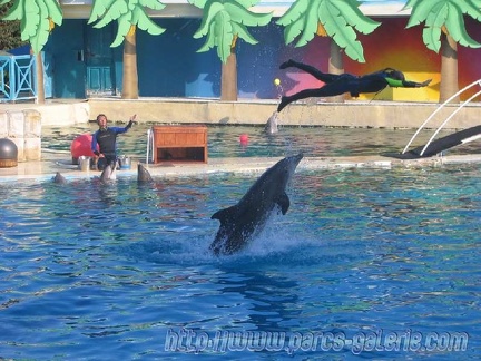 Marineland Antibes - 005