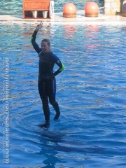 Marineland Antibes - 006