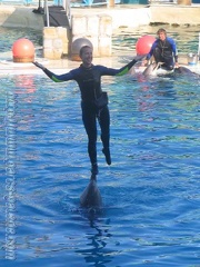 Marineland Antibes - 007