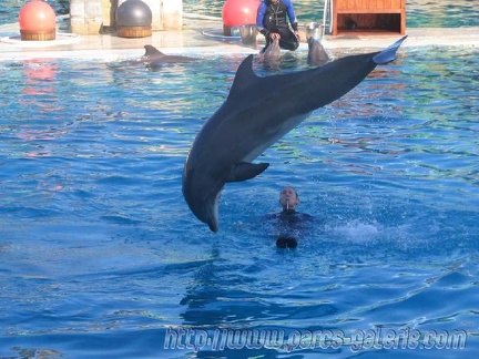 Marineland Antibes - 008