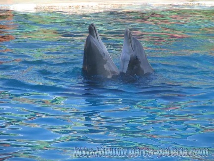 Marineland Antibes - 009