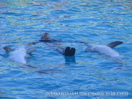 Marineland Antibes - 017