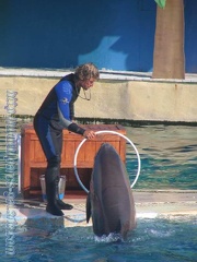 Marineland Antibes - 021