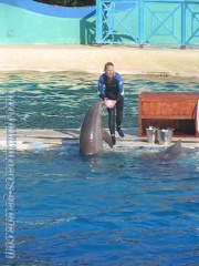 Marineland Antibes - 023