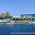 Marineland Antibes - 038