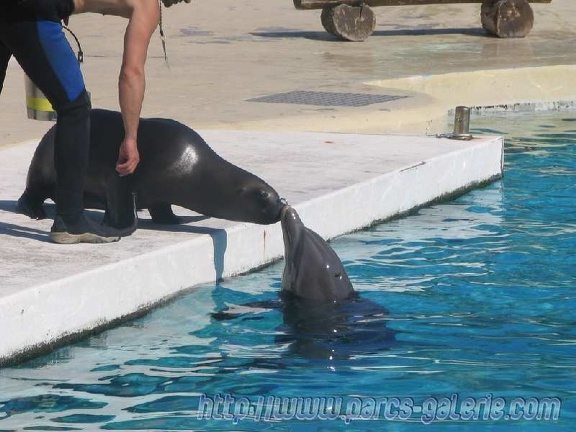 Marineland Antibes - 001