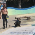 Marineland_Antibes_-_002.jpg