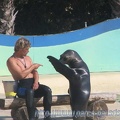 Marineland Antibes - 003