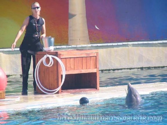 Marineland Antibes - 001