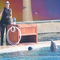 Marineland Antibes - 001