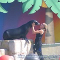 Marineland_Antibes_-_002.jpg