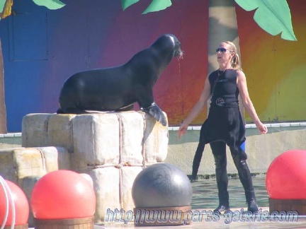 Marineland Antibes - 003