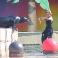 Marineland_Antibes_-_004.jpg