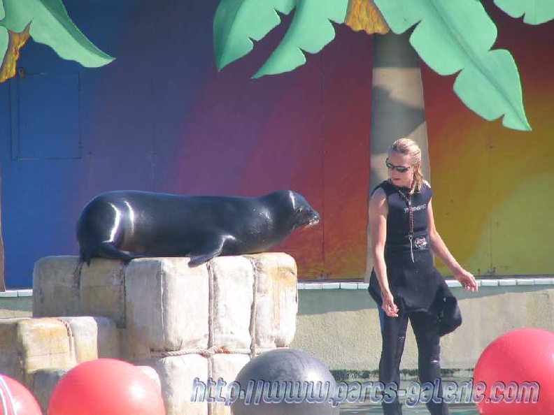 Marineland_Antibes_-_005.jpg