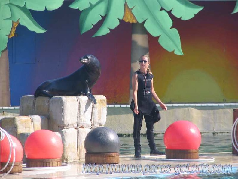 Marineland_Antibes_-_006.jpg