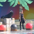 Marineland Antibes - 006