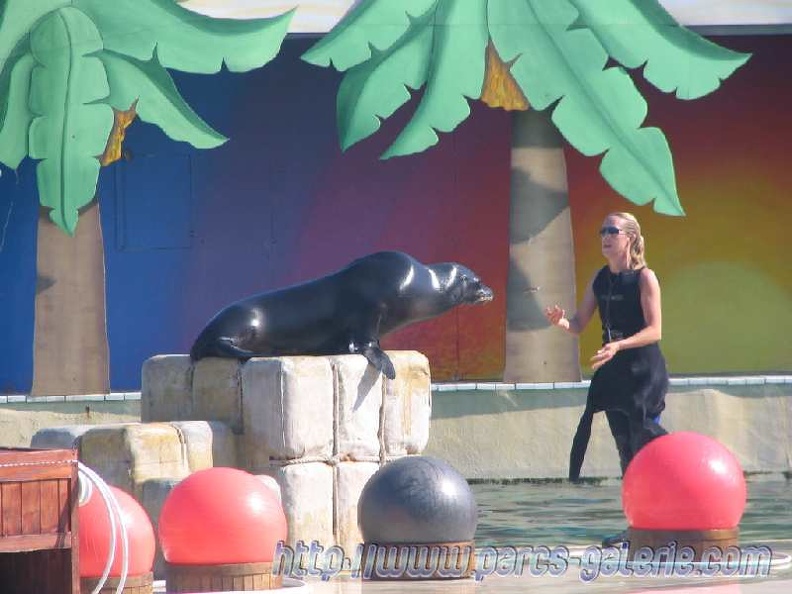 Marineland_Antibes_-_007.jpg