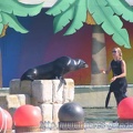 Marineland Antibes - 007