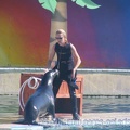 Marineland_Antibes_-_008.jpg