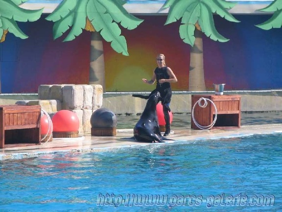 Marineland Antibes - 009