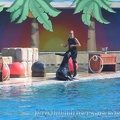 Marineland Antibes - 009