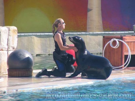 Marineland Antibes - 010