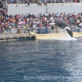 Marineland Antibes - 001