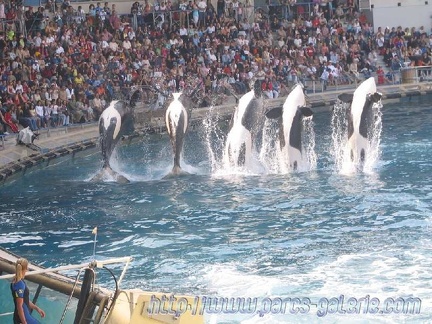 Marineland Antibes - 001