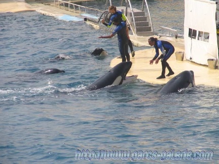 Marineland Antibes - 003