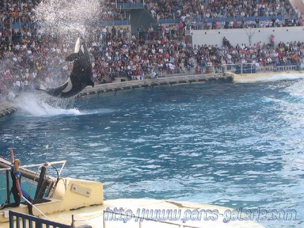 Marineland Antibes - 004