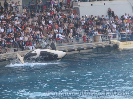 Marineland Antibes - 005