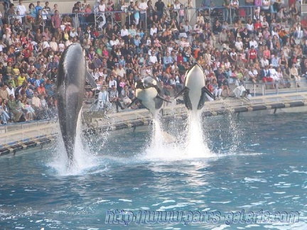 Marineland Antibes - 006