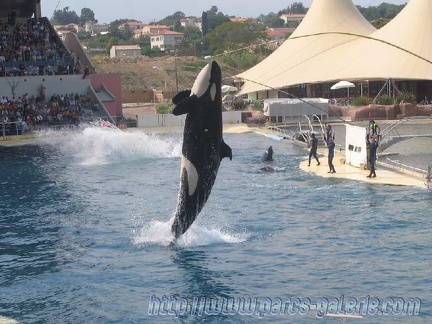 Marineland Antibes - 007