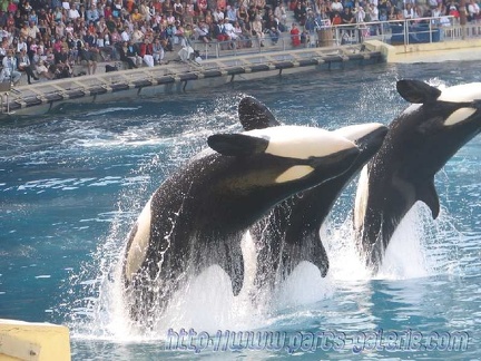 Marineland Antibes - 008