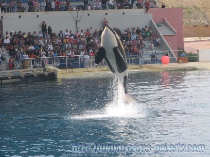 Marineland Antibes - 010