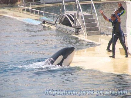 Marineland Antibes - 011