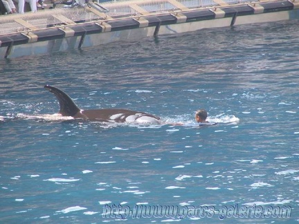 Marineland Antibes - 015