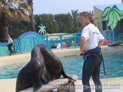 Marineland Antibes - 001