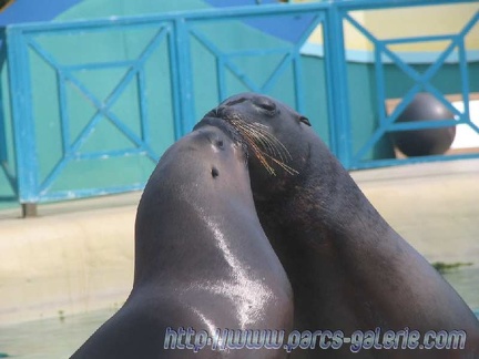 Marineland Antibes - 003