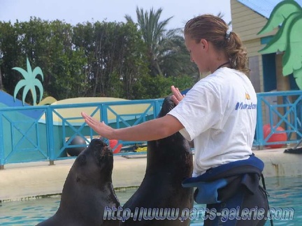 Marineland Antibes - 004