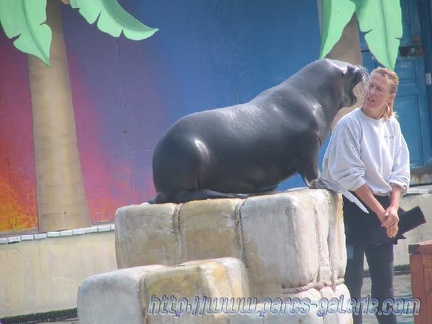 Marineland Antibes - 002