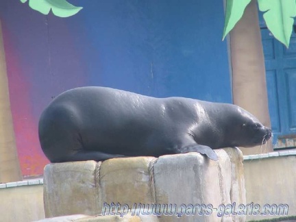 Marineland Antibes - 003