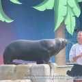 Marineland Antibes - 004