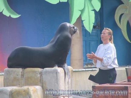 Marineland Antibes - 005