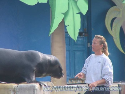 Marineland Antibes - 006