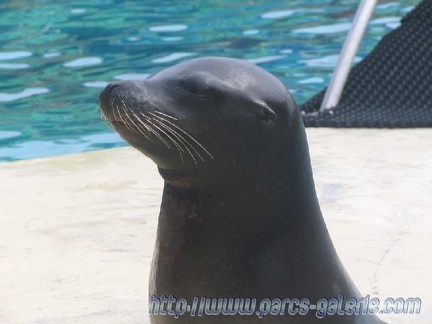 Marineland Antibes - 001