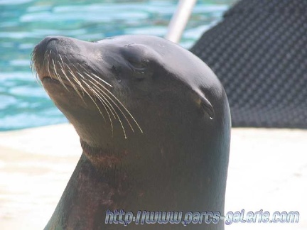 Marineland Antibes - 003