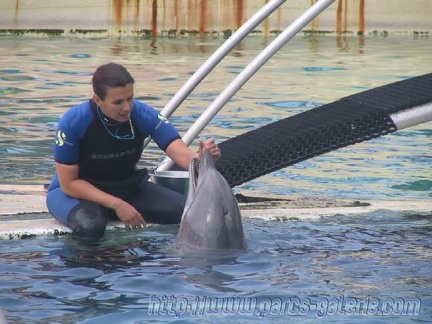 Marineland Antibes - 001